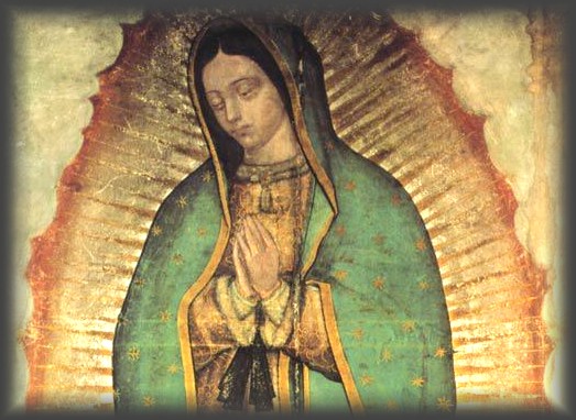 WELCOME! Dedicated to Our Lady of Guadalupe, patroness of the unborn