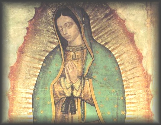 WELCOME! Dedicated to Our Lady of Guadalupe, patroness of the unborn